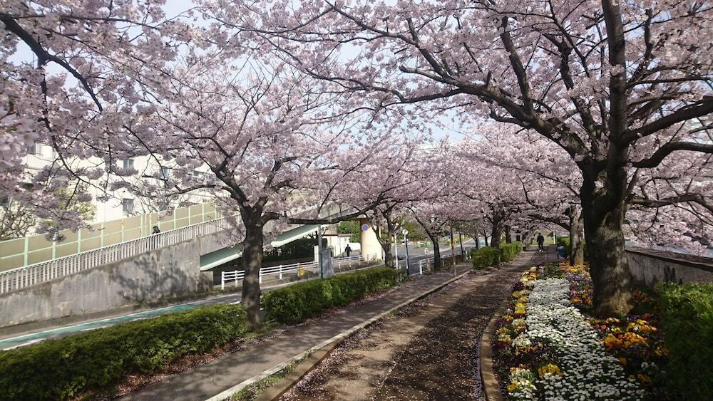 施設からの眺望