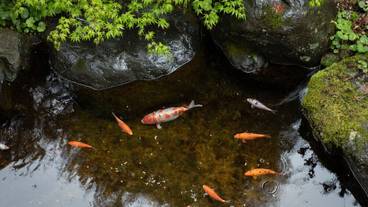 施設の敷地 / 21