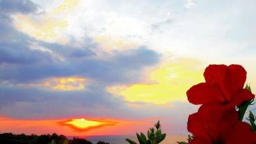 施設からの眺望 / 14