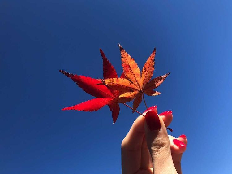 nail_to_oyadoさんの写真 / 4