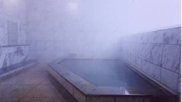 屋内スパ浴槽 / 1