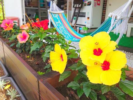 ペンション 花海月 / 3