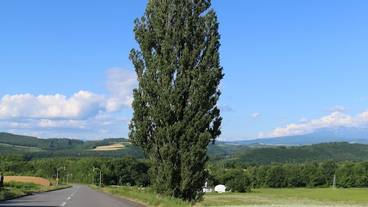 施設からの眺望 / 10