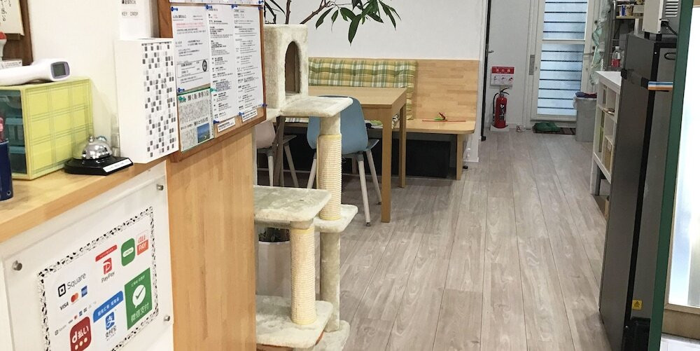 リビング エリア