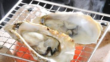 食事・飲み物 / 1