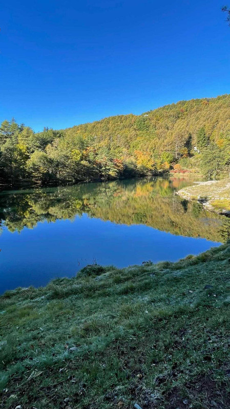 i.am.izumiさんの写真 / 2