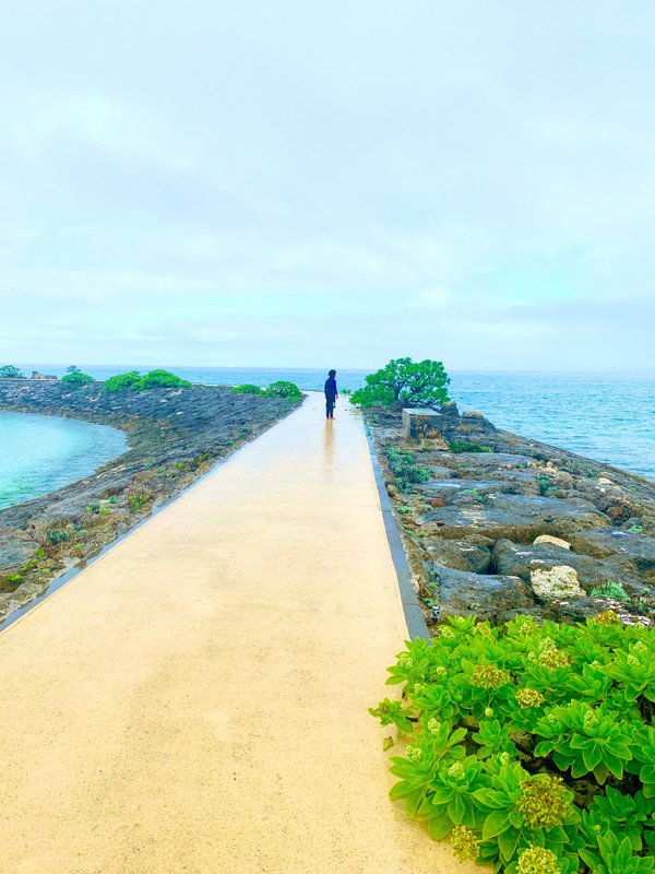 mignon_2015さんの写真 / 5