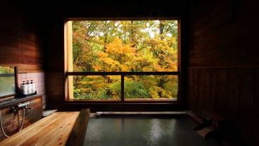 強酸性の蔵王温泉 樹林の湯 秋 / 3