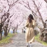 【関東】1dayトリップにぴったり♩桜トンネルが美しい名所6選