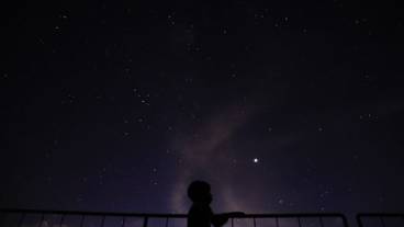 テラス / パティオ / 7