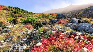 施設からの眺望 / 35