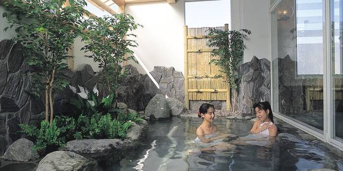 越後湯沢温泉 ホテル 湯沢湯沢でんき屋（新潟県 旅館） / 1