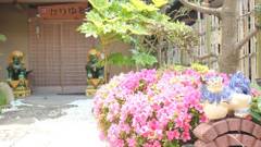 沖縄民宿 かりゆし 本館