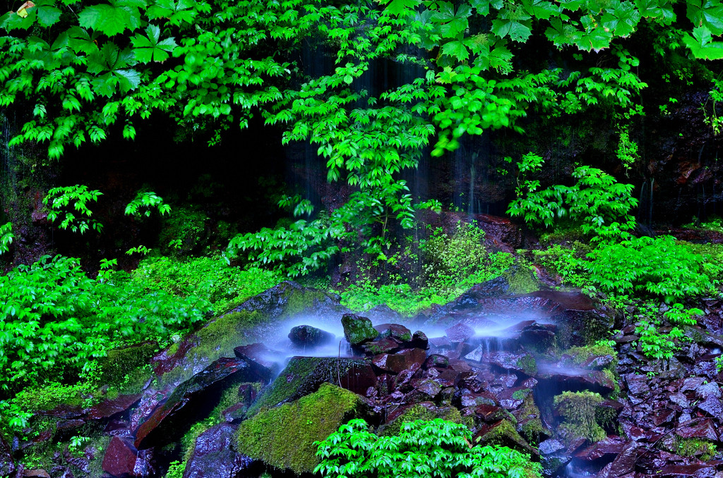 宿泊だけでも楽しい♪ホテルをご紹介3976909