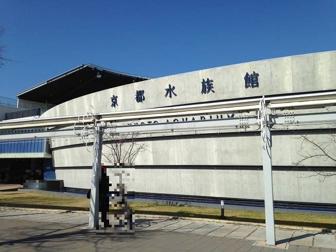 「京都水族館」へ
ひと味違った京都観光を / 3