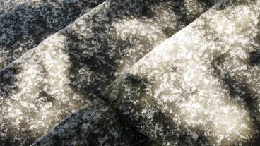 施設の敷地 / 12