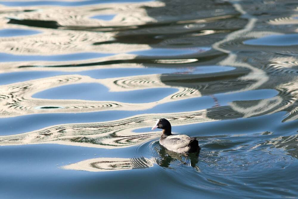 施設からの眺望
