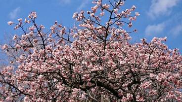 観光スポット / 6