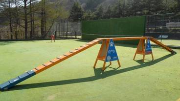 ペット同伴可 / 1