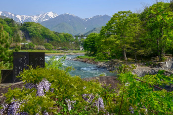 Suwa Gorge in Spring 1