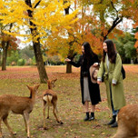 奈良女子旅の拠点に♪「奈良公園」周辺のおすすめホテル6選