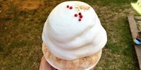 一度食べるとくせになる！奈良「ほうせき箱」のかき氷でとろけたい
