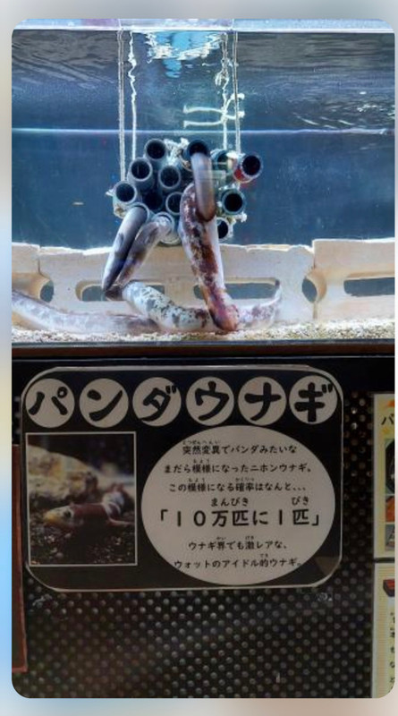 dokudantohenkenさんの写真 / 5