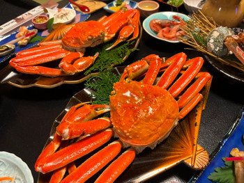 「坂本屋　瑠璃亭」 料理 233379770 