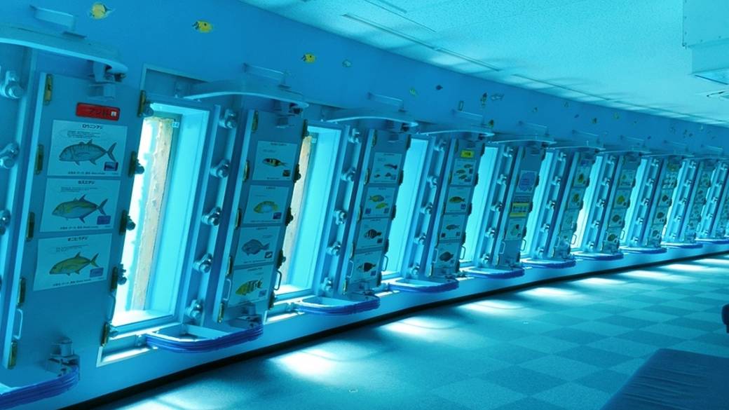 宮古島海中公園 / 4