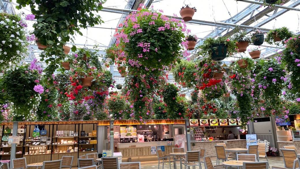 スカイガーデン / 3