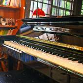 FOREST RESORT COSMOS(山梨県 ペンション) / 2