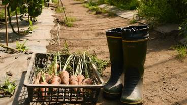 施設の敷地 / 22