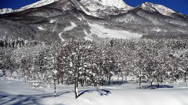 マウンテン ビュー / 20