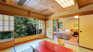 和洋室　畳エリア付　マウンテンビュー