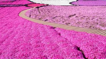 観光スポット / 14