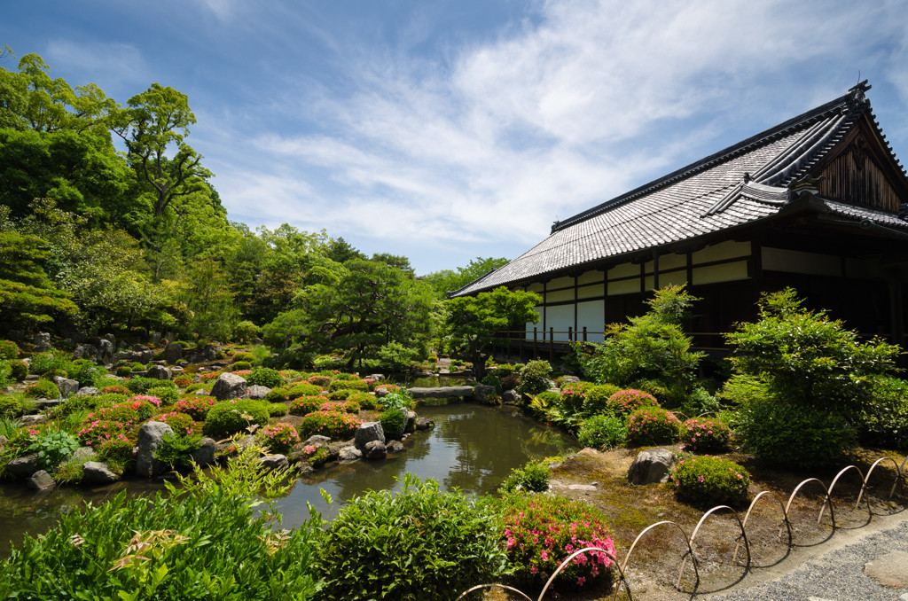 等持院　【嵐山・嵯峨野】1025908