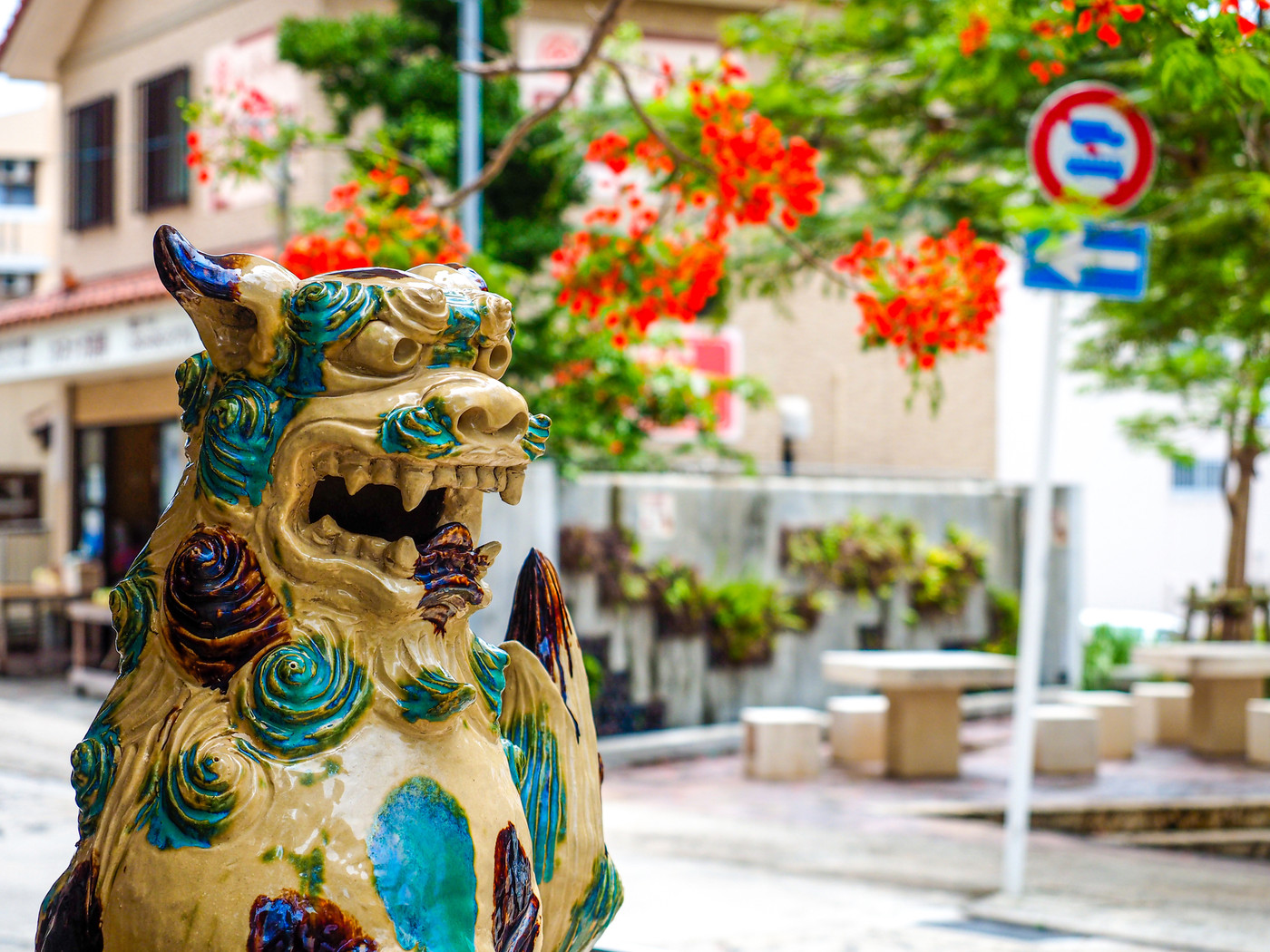 シーサーとホウオウボク