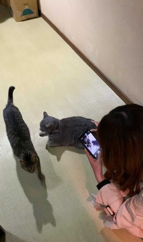 shihoko0922さんの写真 / 1