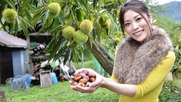 施設からの眺望 / 28