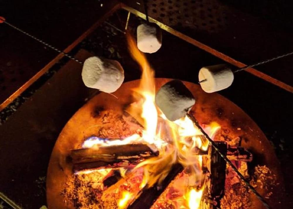 バーベキュー / ピクニック エリア