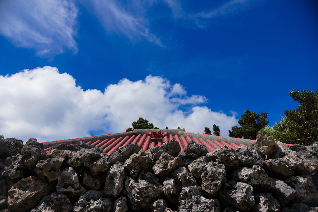 波照間島に行くなら1泊以上はマスト！4278917