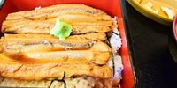 千葉・富津の名物あなごを食す！おすすめの「はかりめ丼」10選