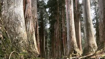 観光スポット / 7