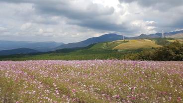 観光スポット / 3