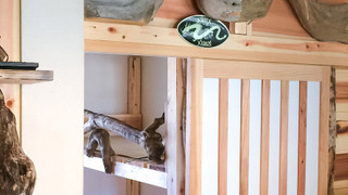 女性専用 洋室フォースルーム (2段ベッド2台) 禁煙