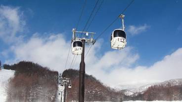 観光スポット / 15