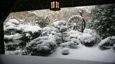 施設の敷地 / 29