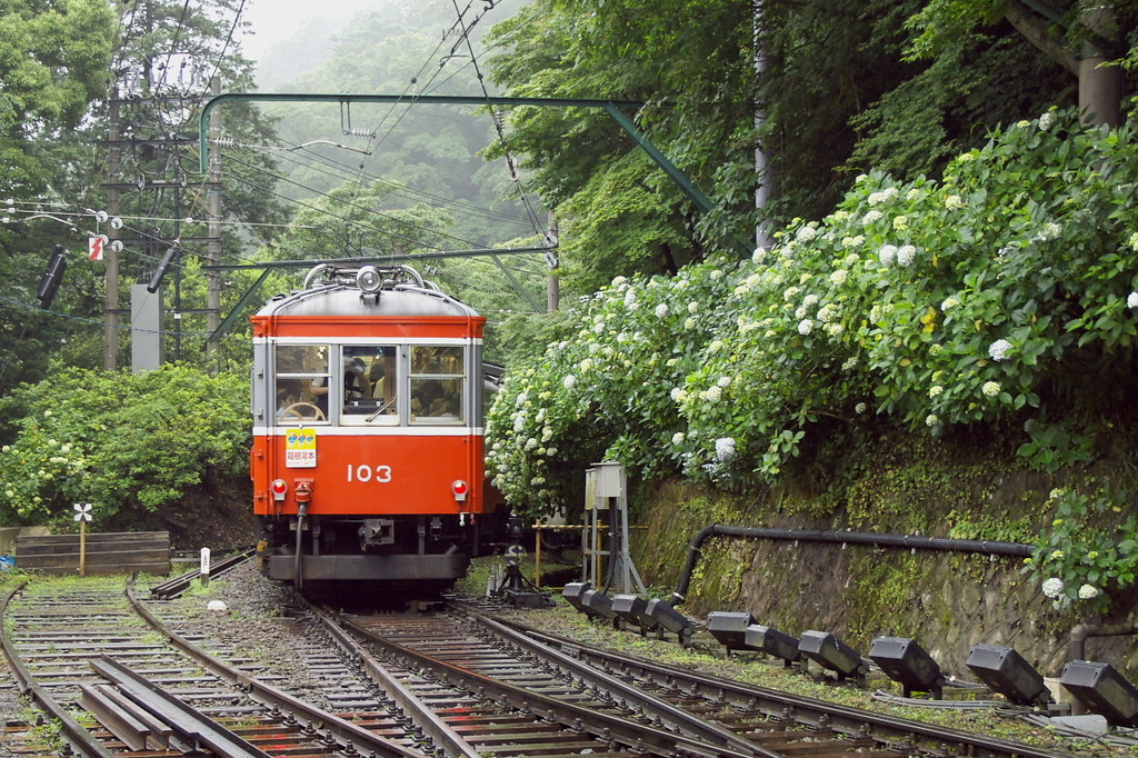 久しぶりのデート♡箱根のレトロな街並み「宮ノ下」がちょうどいい1828731