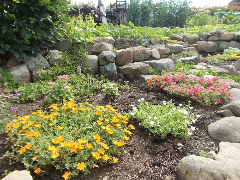 ガーデン ビュー