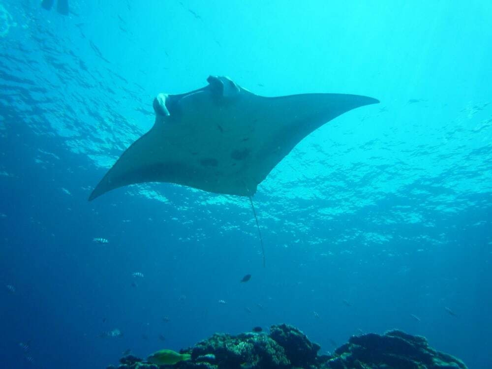 フィットネス設備